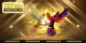 Đá Gà Online - Trải Nghiệm Chọi Kê Kiếm Tiền Hàng Tỷ