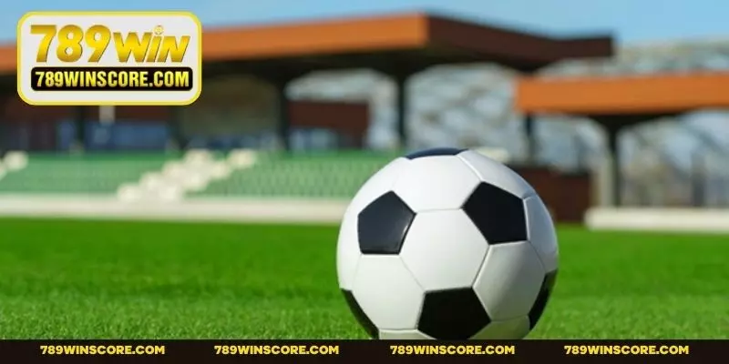 Tìm ra trận chơi phù hợp nhất với bản thân